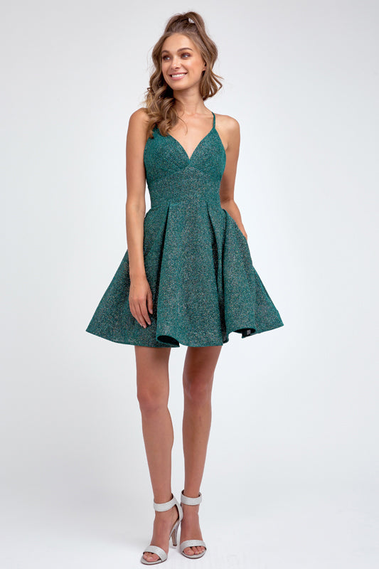 Glitter Fit And Flare Short Cocktail Dress Posh Styles Apparel