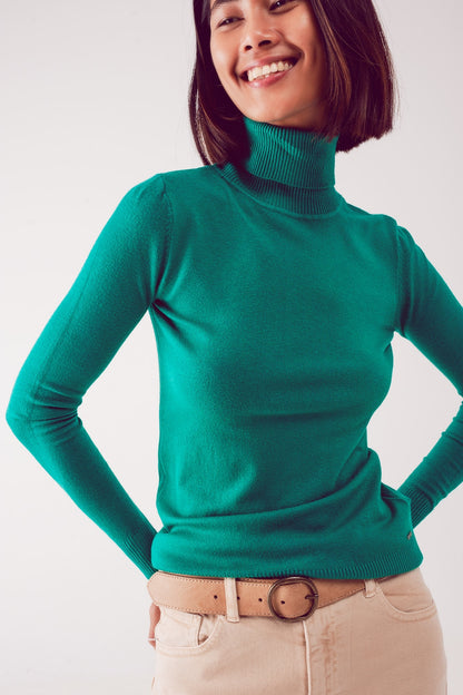 Q2 Fine knit high neck jumper in green