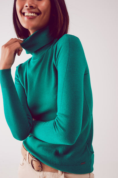 Fine knit high neck jumper in greenSweaters