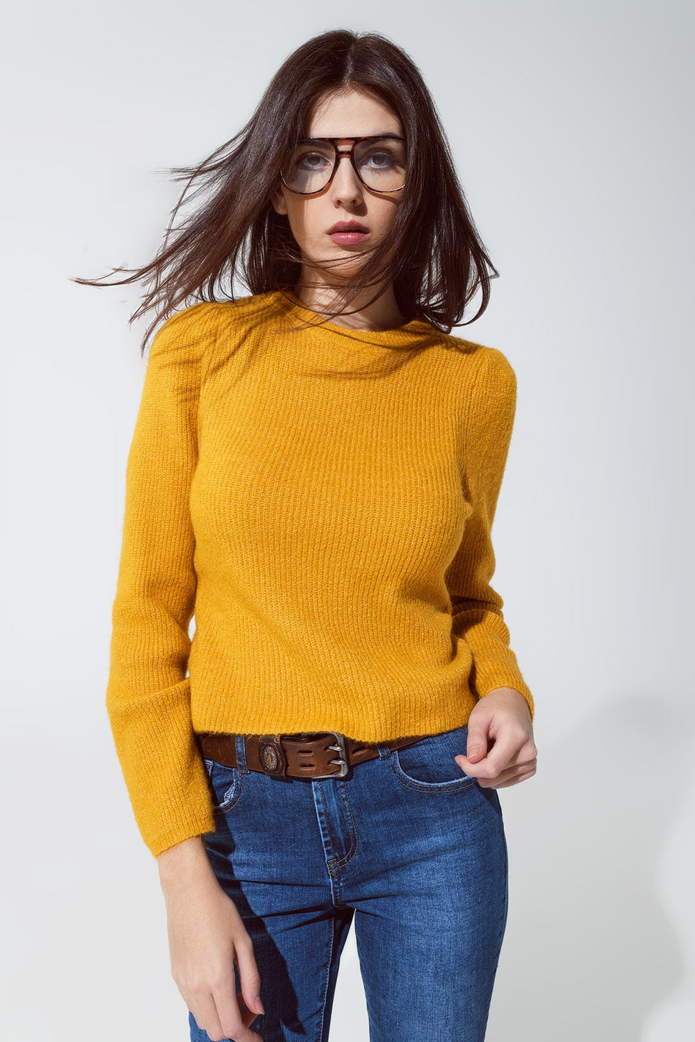 Round neck chunky ribbed jumper in mustard